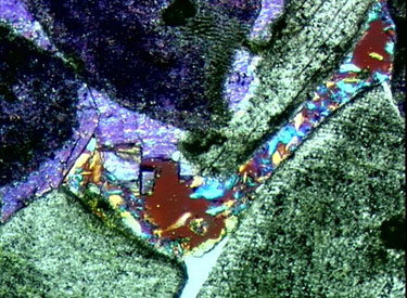 Fig. 19 Vue microscopique de cristaux de gypse dans une pierre calcaire, susceptibles de provoquer des altérations par expansion. 