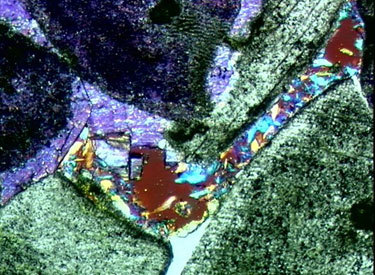 Fig. 19 Vue microscopique de cristaux de gypse dans une pierre calcaire, susceptibles de provoquer des altérations par expansion.