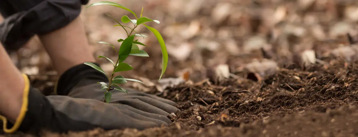 Symbolisch beeld bijdragen - Leden en Buildwise kunnen elkaar ondersteunen/ Image symbolique - Les membres et Buildwise peuvent se soutenir mutuellement.