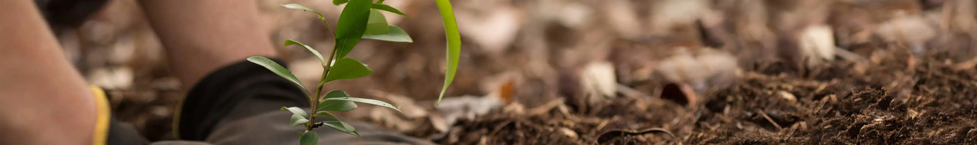 Symbolisch beeld bijdragen - Leden en Buildwise kunnen elkaar ondersteunen/ Image symbolique - Les membres et Buildwise peuvent se soutenir mutuellement.