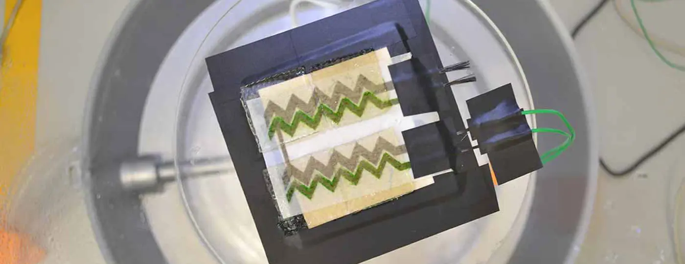 Behangpapier met algen produceert elektriciteit - Un papier peint à base d'algues qui produit de l'électricité