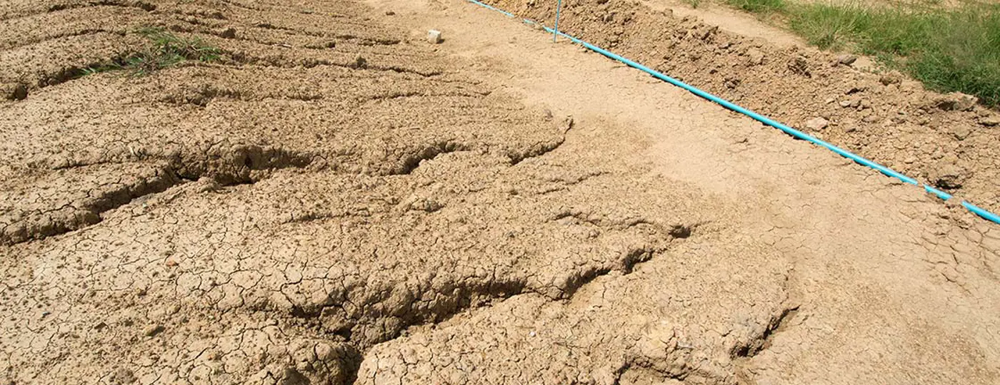 Biocement maakt bodem stabiel - Un biociment permet de stabiliser le sol